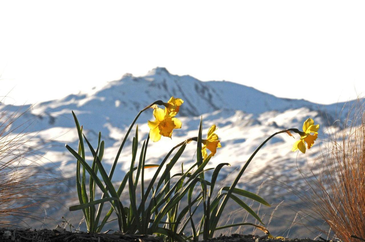 Hawkridge Alpine Suite Queenstown Dış mekan fotoğraf