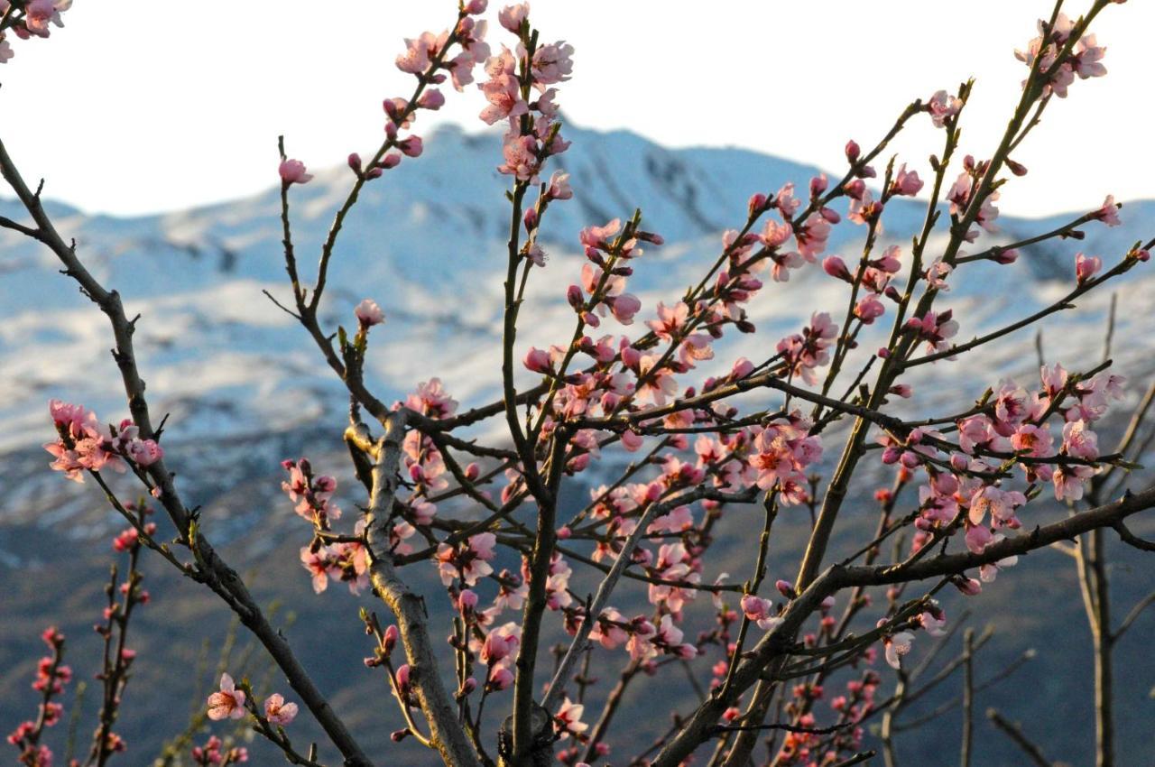 Hawkridge Alpine Suite Queenstown Dış mekan fotoğraf